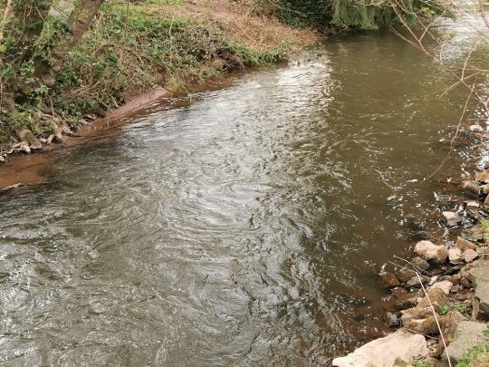 Angeln in Hohenöllen
