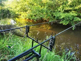 Lauter (Lohnweiler)-1