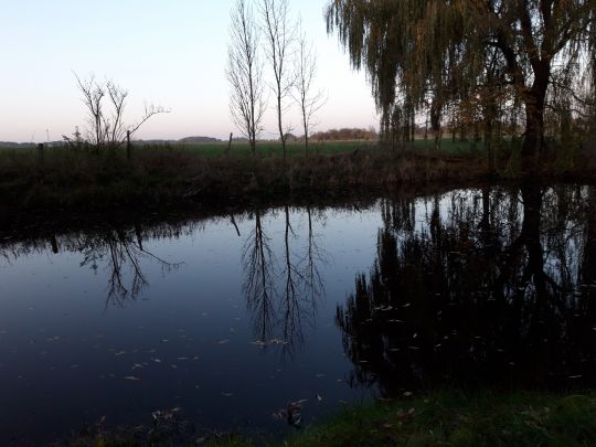 Dorfteich Schäplitz