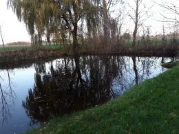 Dorfteich Schäplitz-2