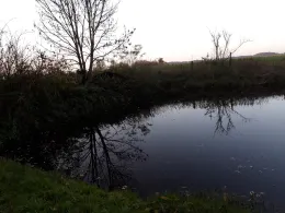 Dorfteich Schäplitz-1