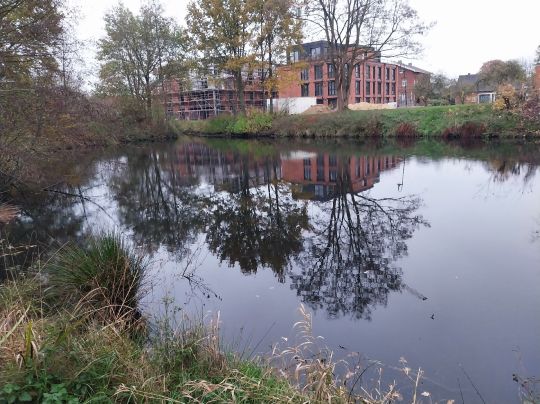 Delmequell (Twistringen)