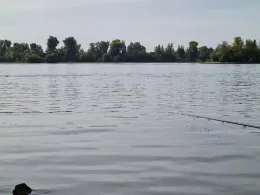 Rhein (Rüdesheim)-1