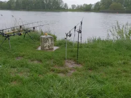 Donau (Pfatter-Gmünd)-2