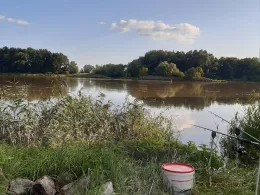 Donau (Pfatter-Gmünd)-3