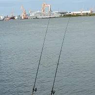 Industriehafen Emden-2