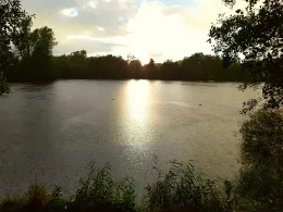 Kennel Teich (Braunschweig)