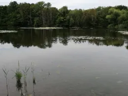 Kennel Teich (Braunschweig)-1