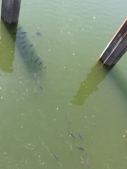 Innenhafen Duisburg-1