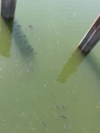 Innenhafen Duisburg-1