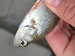 Innenhafen Duisburg-2