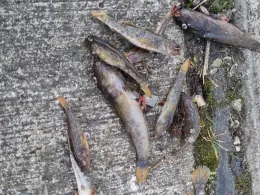 Innenhafen Duisburg-3