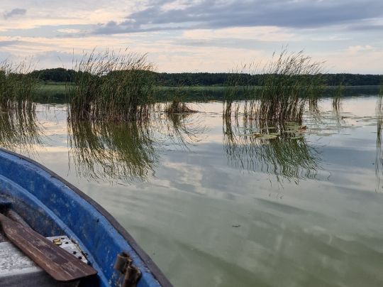 Damerower See-1