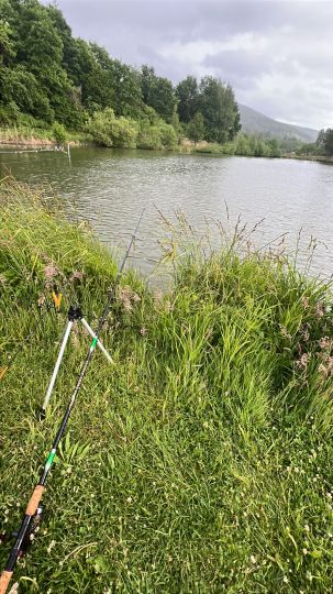 Teichanlage Burgsinn-2