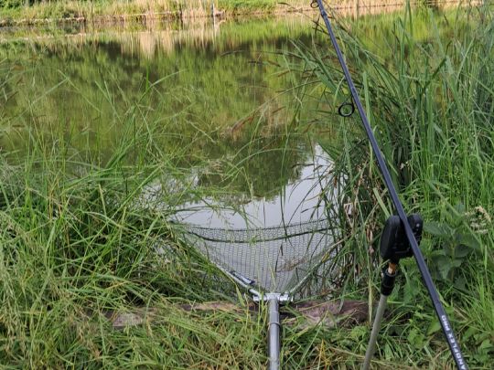 Teichanlage Burgsinn-3