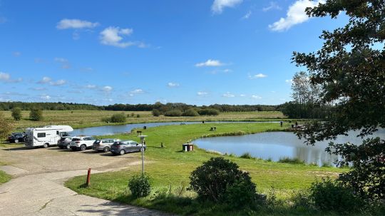Filskov Fiskesø