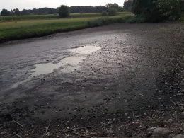 Wolfsteich (Diesdorf)-1