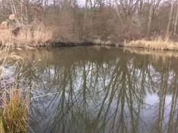 Wolfsteich (Diesdorf)