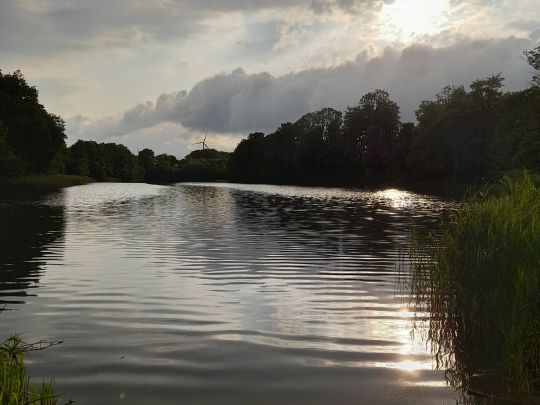 Langer See (Sanitz)-1