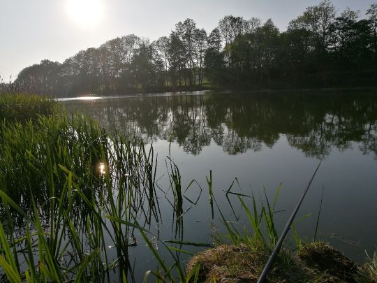 Langer See (Sanitz)-2