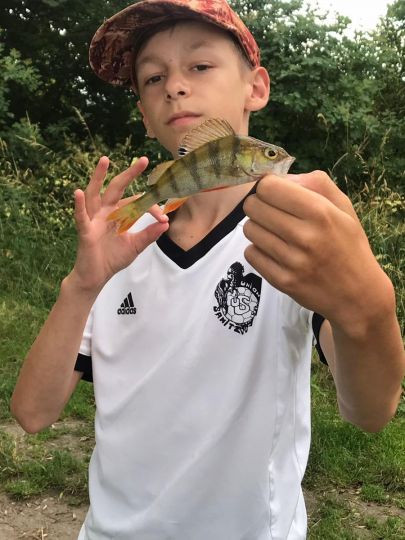 Langer See (Sanitz)-3