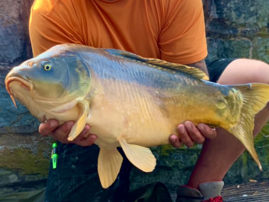 Langstteich (Ahlen)-2