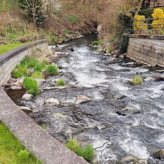 Schmalkalde (Schmalkalden)-2