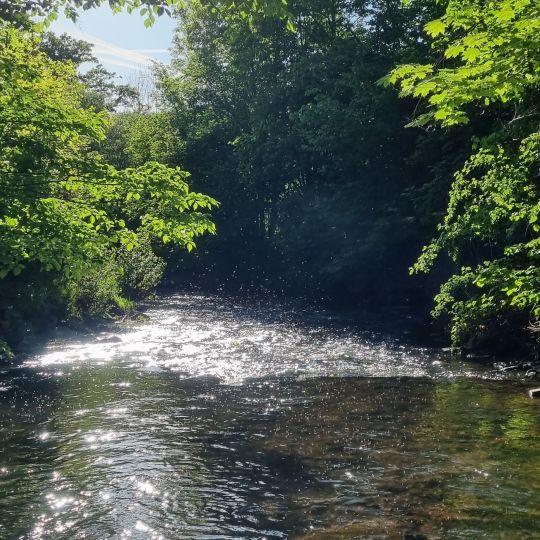 Schmalkalde (Schmalkalden)-1