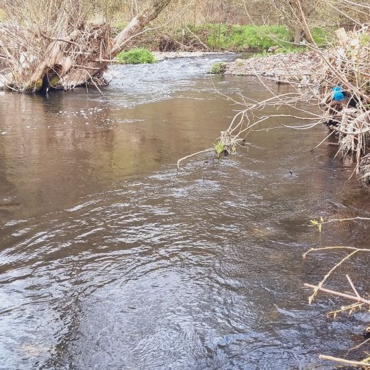 Schmalkalde (Schmalkalden)-3