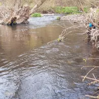 Schmalkalde (Schmalkalden)-3