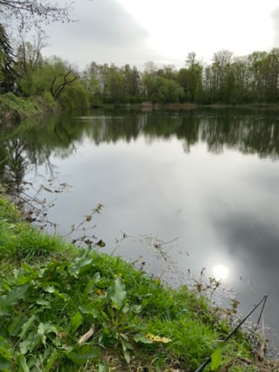 Bürgerpark (Sarstedt)