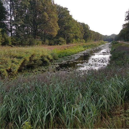 Nordhorn-Almelo-Kanal (Nordhorn) angeln