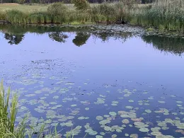 Spree (Alt Schadow)-1