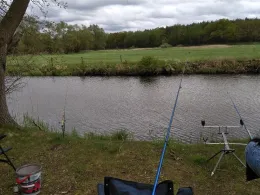 Spree (Alt Schadow)-4