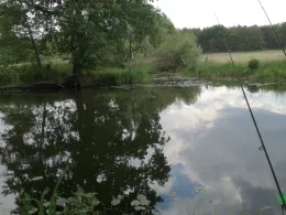 Spree (Alt Schadow)-3