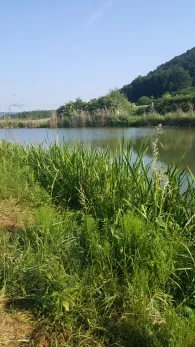 Altwasser Griesstetten