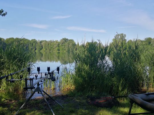 Socolweiher (Singerhofweiher)-4