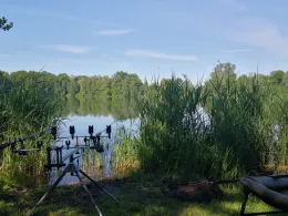 Socolweiher (Singerhofweiher)-4