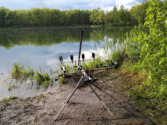 Socolweiher (Singerhofweiher)-2