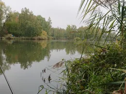 Badeteich Wittmannsdorf-2