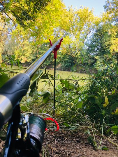 Neckar (Neckartenzlingen)-2