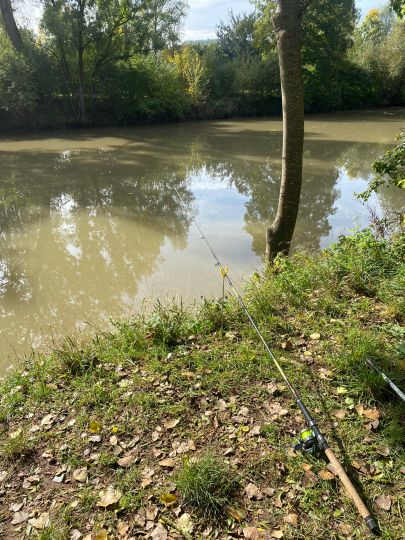 Neckar (Neckartenzlingen)-4