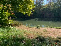 Neckar (Neckartenzlingen)-4