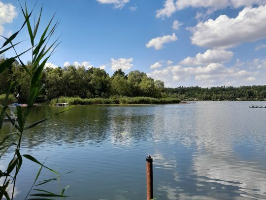 Grube Theodor (Roitzsch)-4