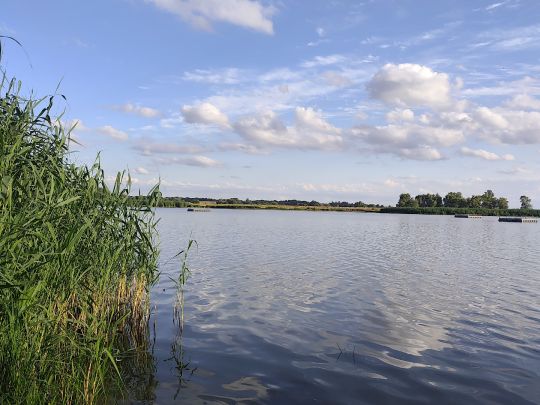 Lostauer Alte Elbe-2
