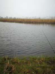 Lostauer Alte Elbe-3