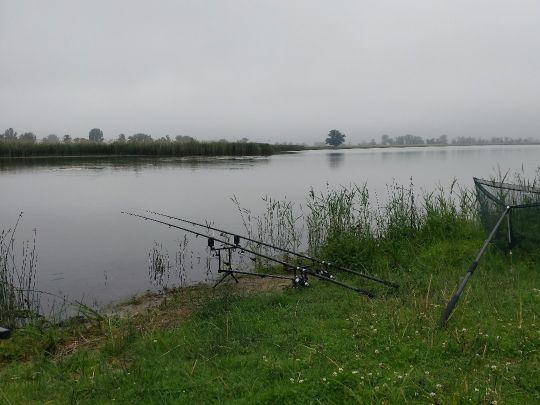 Lostauer Alte Elbe-1