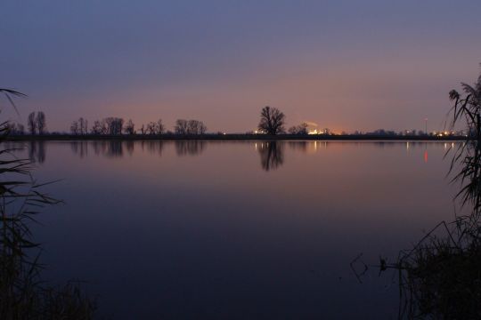 Lostauer Alte Elbe angeln