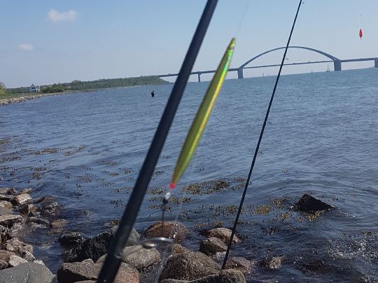 Ostsee (Fehmarn-Strukkamp)-4