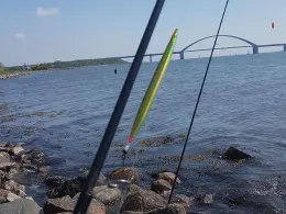 Ostsee (Fehmarn-Strukkamp)-4